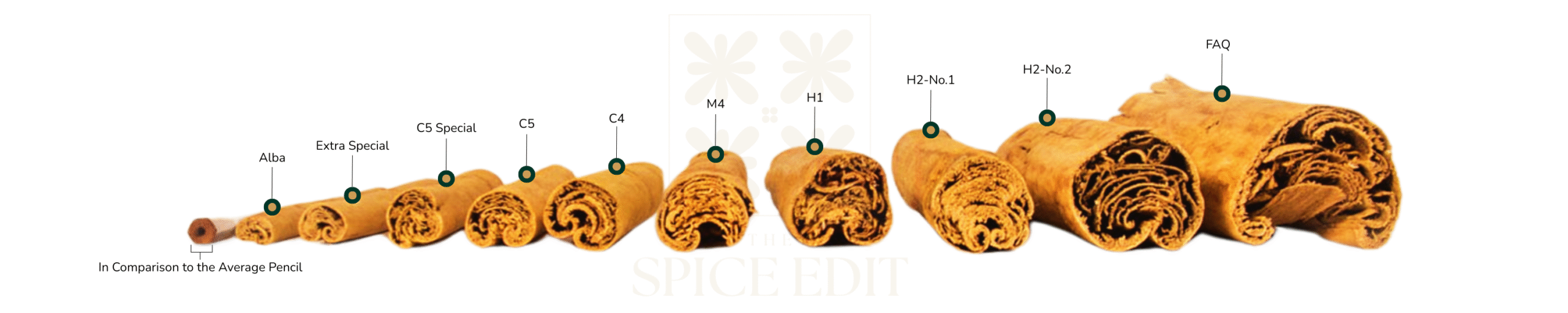 Ceylon Cinnamon Grades by The Spice Edit (Mobile Img)